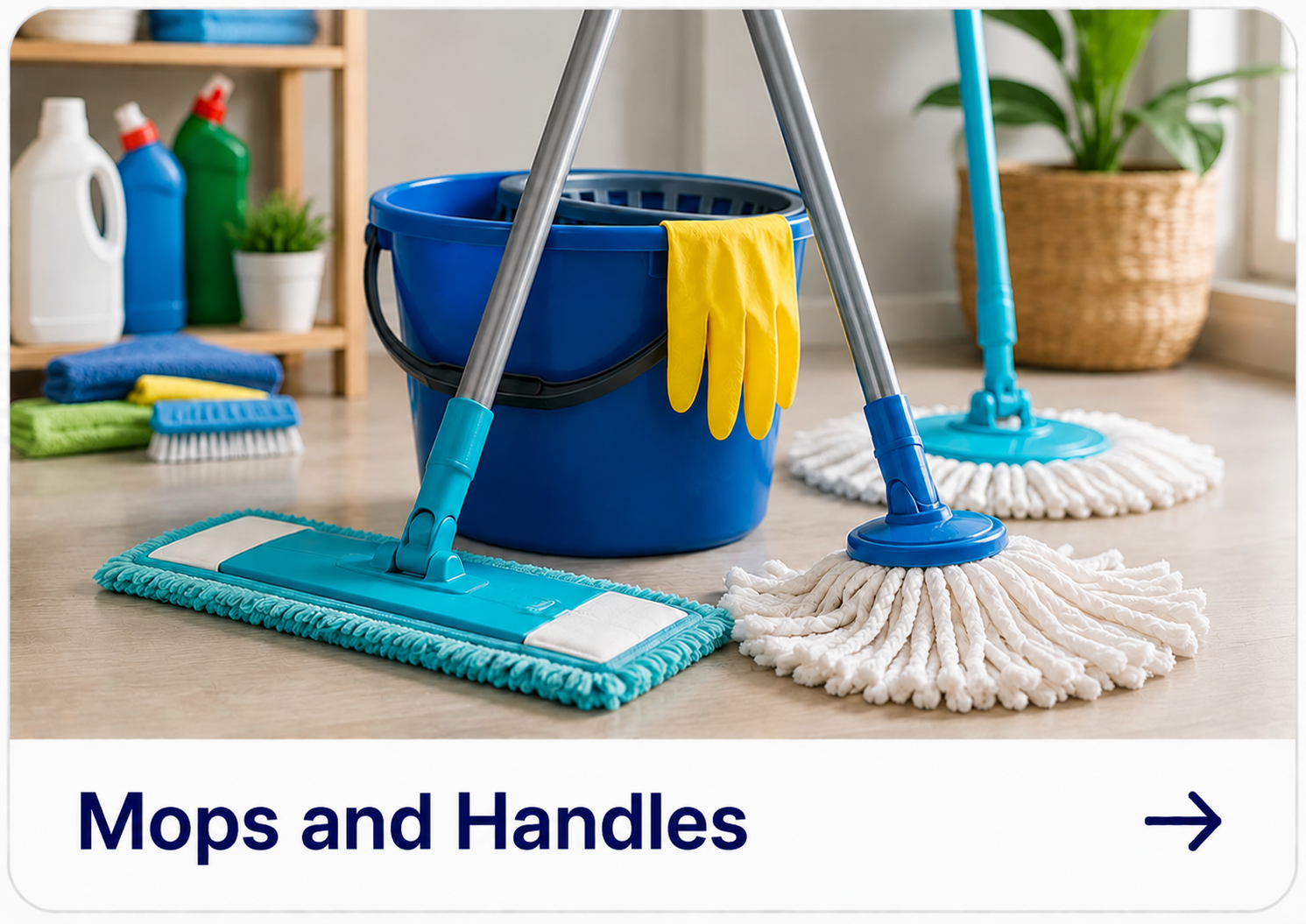 Mops & Handles